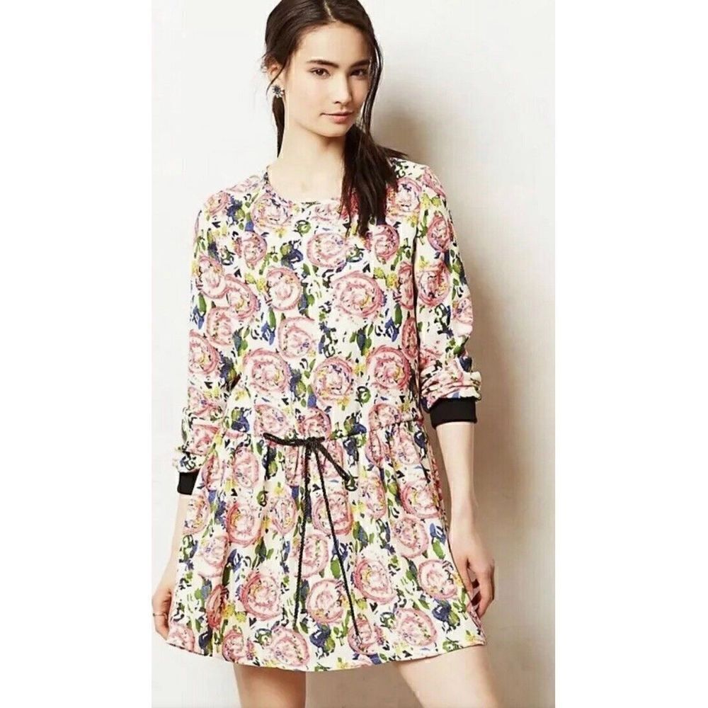 Anthropologie eye doll floral tie cinched waist long sleeve celandine dress M